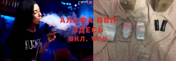 индика Волосово