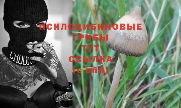 мескалин Покачи
